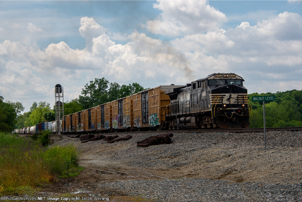 NS 4462